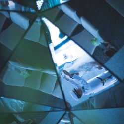 コンラッド大阪の写真36枚目