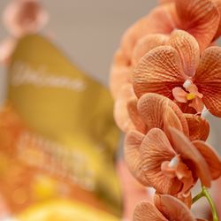 ホテルモントレ大阪の写真26枚目