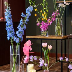 アルモニーソルーナ 表参道の写真11枚目