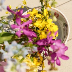 アルモニーソルーナ 表参道の写真9枚目