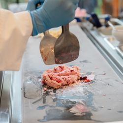 アニヴェルセル 江坂の写真17枚目