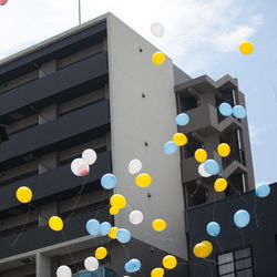 moitie moitieの写真3枚目