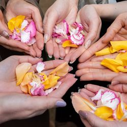 クラシカ表参道の写真25枚目