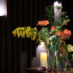 ルーキスの写真36枚目