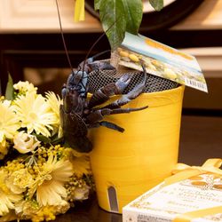 ウェディングスホテル・ベルクラシック東京の写真29枚目