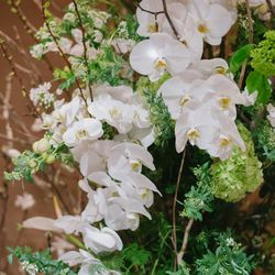 アンダーズ東京の写真36枚目