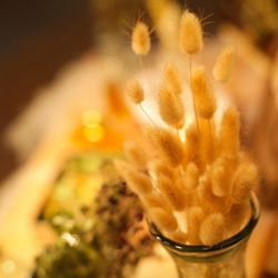 青山フェアリーハウスの写真3枚目