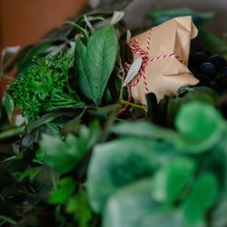 SOLA KOBEの写真12枚目