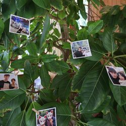 鶴見ノ森 迎賓館の写真13枚目