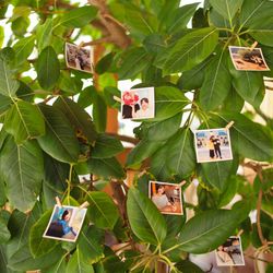 鶴見ノ森 迎賓館の写真15枚目