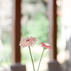 鶴見ノ森 迎賓館の写真17枚目