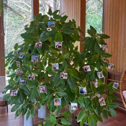 鶴見ノ森 迎賓館の写真2枚目