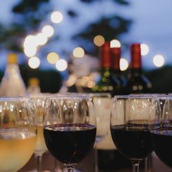 旧グッゲンハイム邸の写真6枚目