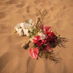 旧グッゲンハイム邸の写真17枚目