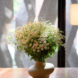 ザ・テンダーハウスの写真17枚目