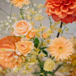 アヴァンセリアン大阪の写真33枚目