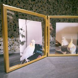 Hilltop Resort YAMANOUEの写真10枚目