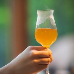 星野リゾート 軽井沢ホテルブレストンコートの写真24枚目