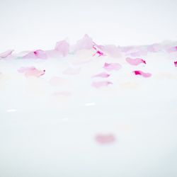 プレミアホテル-TSUBAKI-札幌の写真23枚目