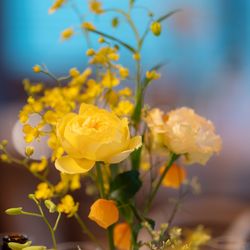 The Place of Tokyoの写真27枚目