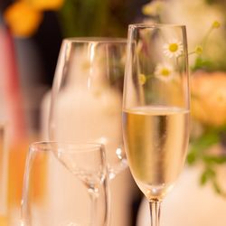 The Place of Tokyoの写真31枚目