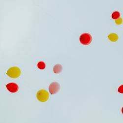 THE SORAKUEN の写真20枚目