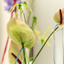 SOLA KOBEの写真19枚目