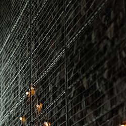 SOLA KOBEの写真9枚目