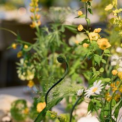 アンダーズ東京の写真10枚目