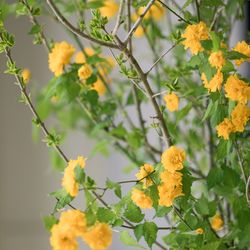 アンダーズ東京の写真10枚目