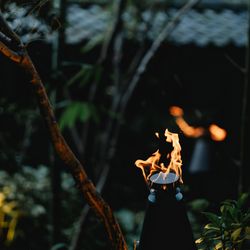 ザ・カワブンナゴヤの写真9枚目