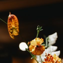 ザ・カワブンナゴヤの写真4枚目