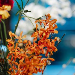 ザ・カワブンナゴヤの写真2枚目