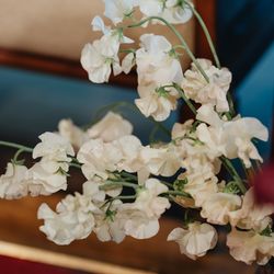 ザ・カワブンナゴヤの写真36枚目