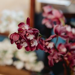 ザ・カワブンナゴヤの写真3枚目