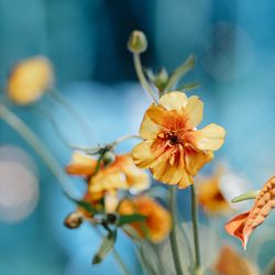 ザ・カワブンナゴヤの写真4枚目