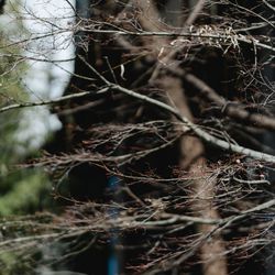 ザ・カワブンナゴヤの写真12枚目