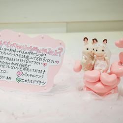 シャルマンシーナ東京の写真18枚目