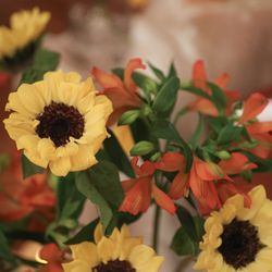 シティプラザ大阪HOTEL＆SPAの写真36枚目