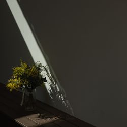 TOASTの写真16枚目