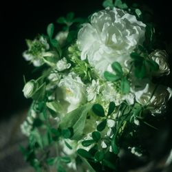  The Okura Tokyoの写真30枚目