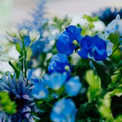 アニヴェルセル 表参道の写真15枚目