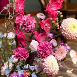 アルモニーソルーナ 表参道の写真22枚目