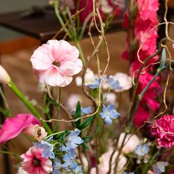 アルモニーソルーナ 表参道の写真30枚目