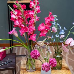 アルモニーソルーナ 表参道の写真31枚目