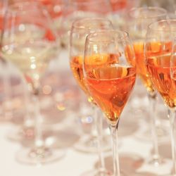 アンジェロコート東京 宇都宮の写真28枚目