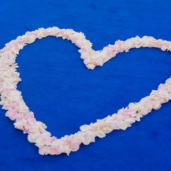 アニヴェルセル 白壁の写真27枚目