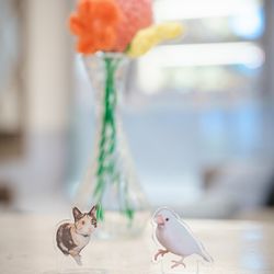 アーフェリーク迎賓館 熊本の写真27枚目