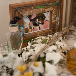 アクアガーデンテラスの写真34枚目