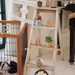 アクアガーデンテラスの写真4枚目